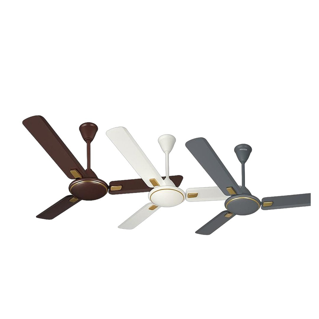 Celling Fan