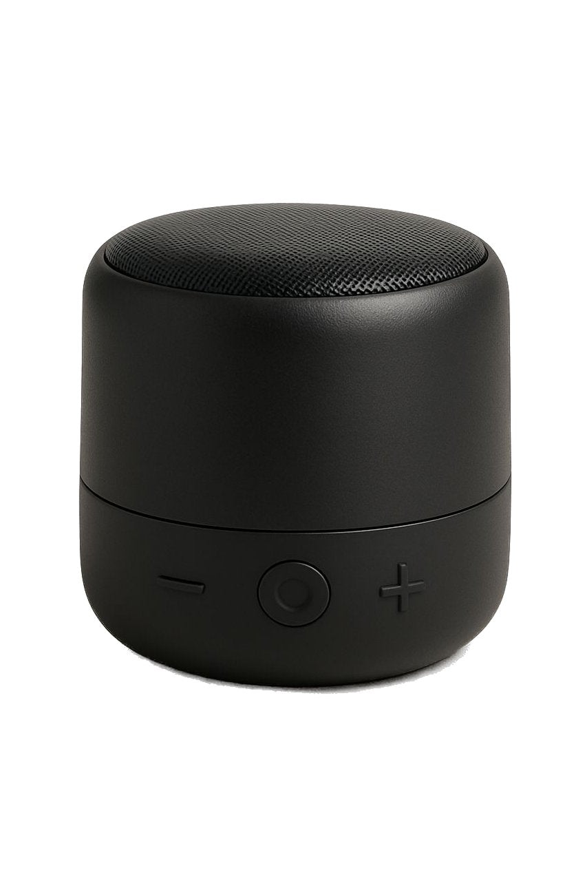 Portable Speaker